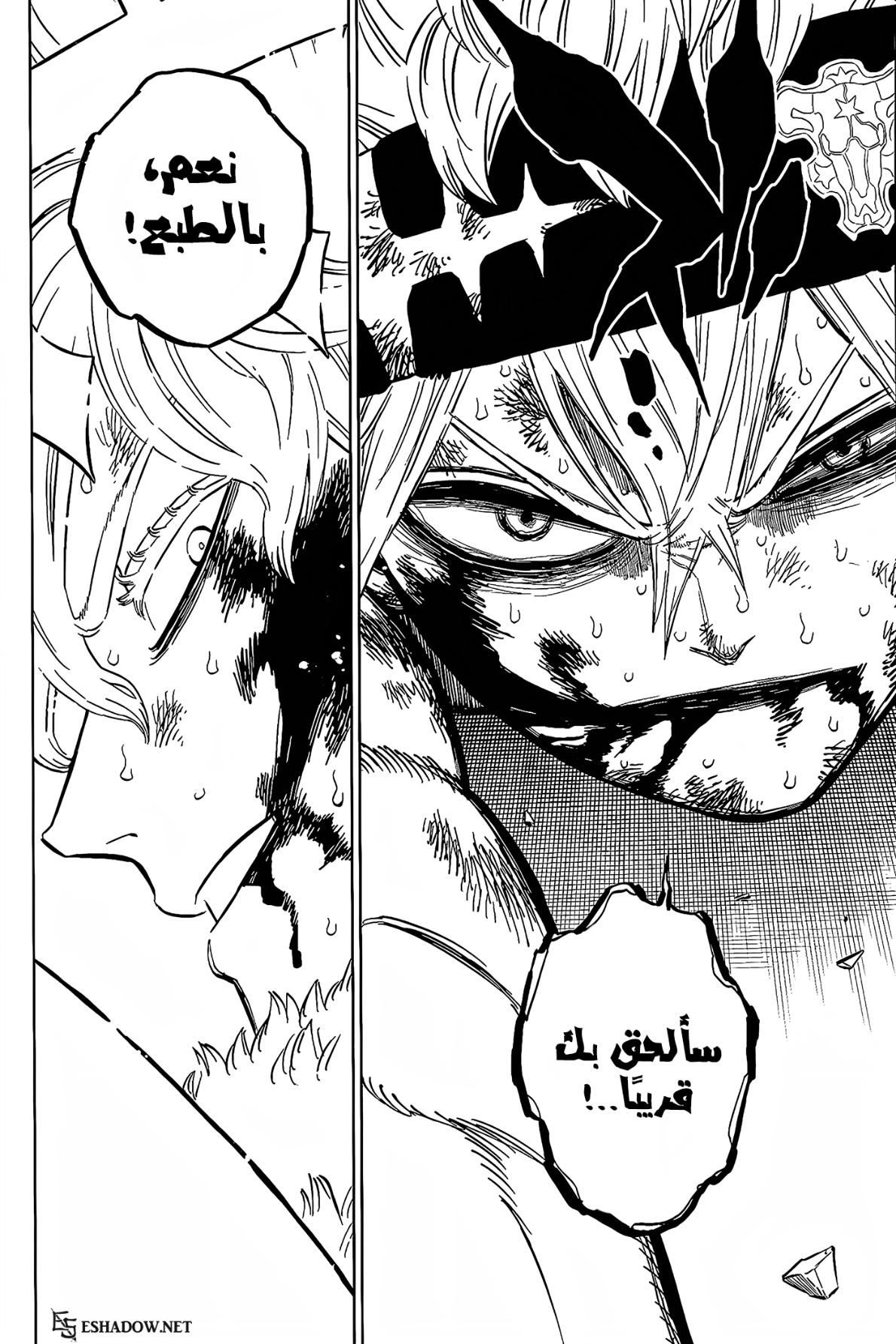 Black Clover: Chapter 380 - Page 14