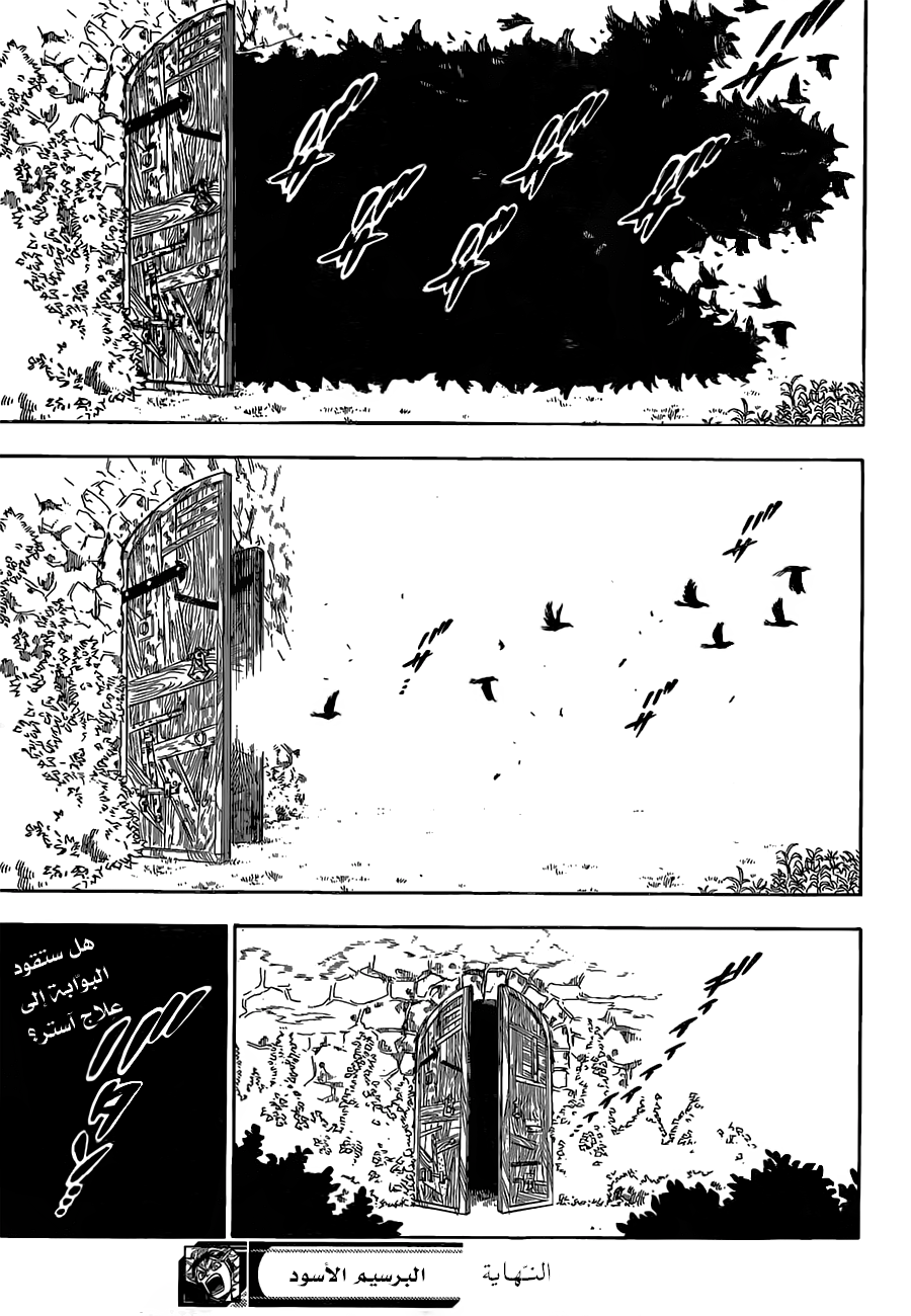 Black Clover: Chapter 81 - Page 16