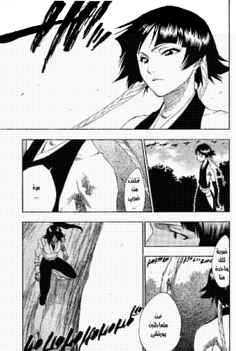 Bleach: Chapter 157 - Page 13