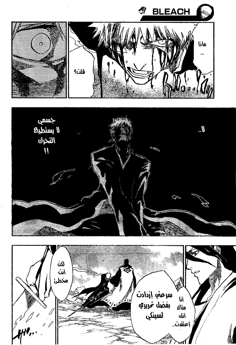 Bleach: Chapter 165 - Page 14