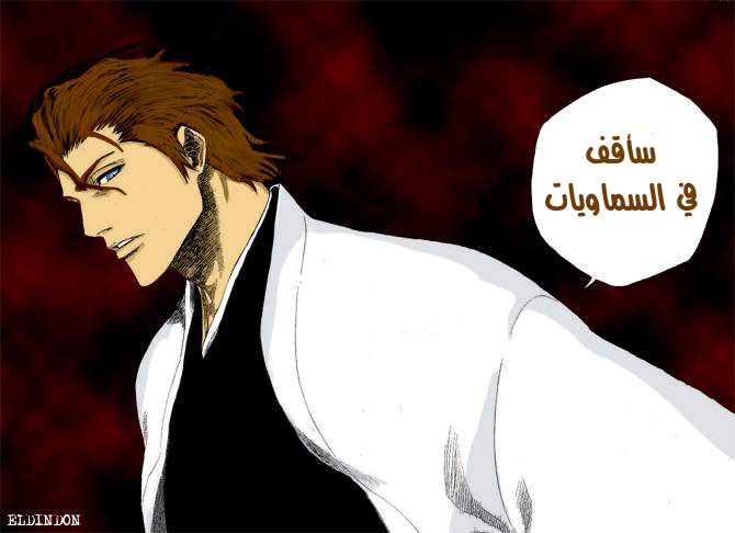 Bleach: Chapter 178 - Page 17