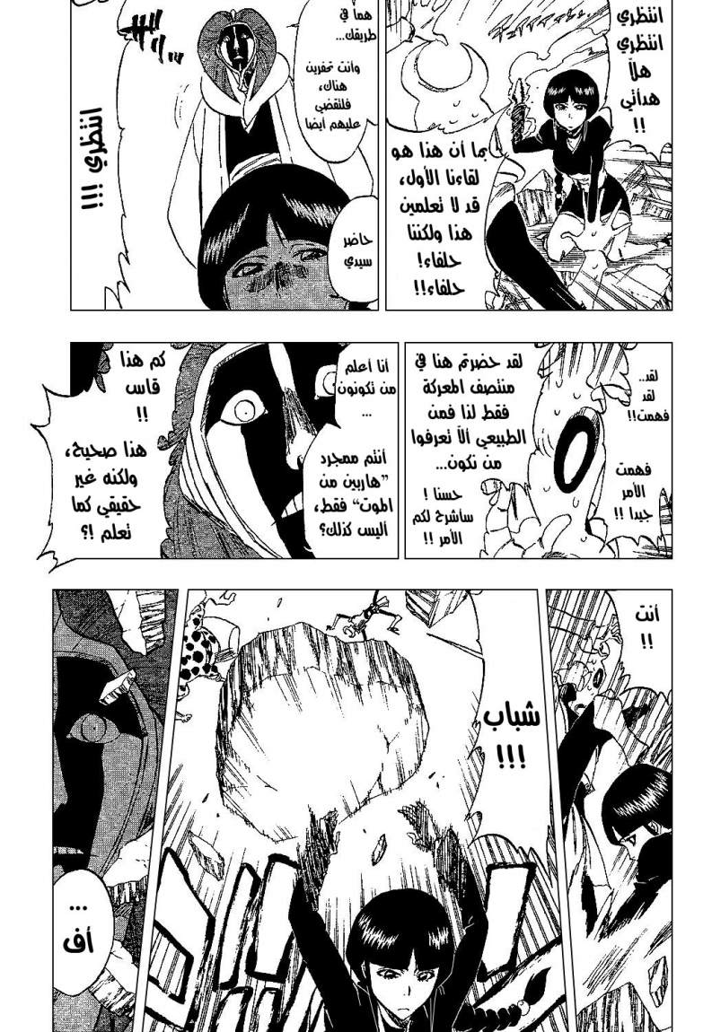 Bleach: Chapter 306 - Page 14