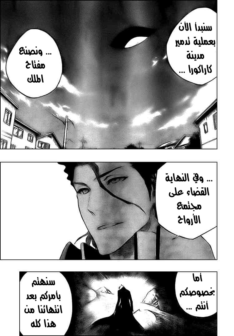 Bleach: Chapter 314 - Page 13