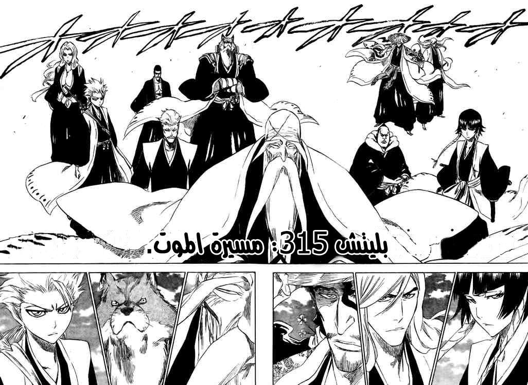 Bleach: Chapter 315 - Page 2