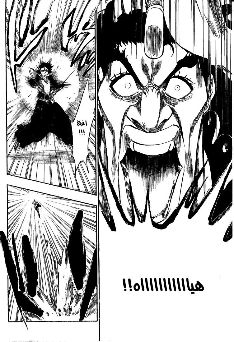 Bleach: Chapter 320 - Page 13