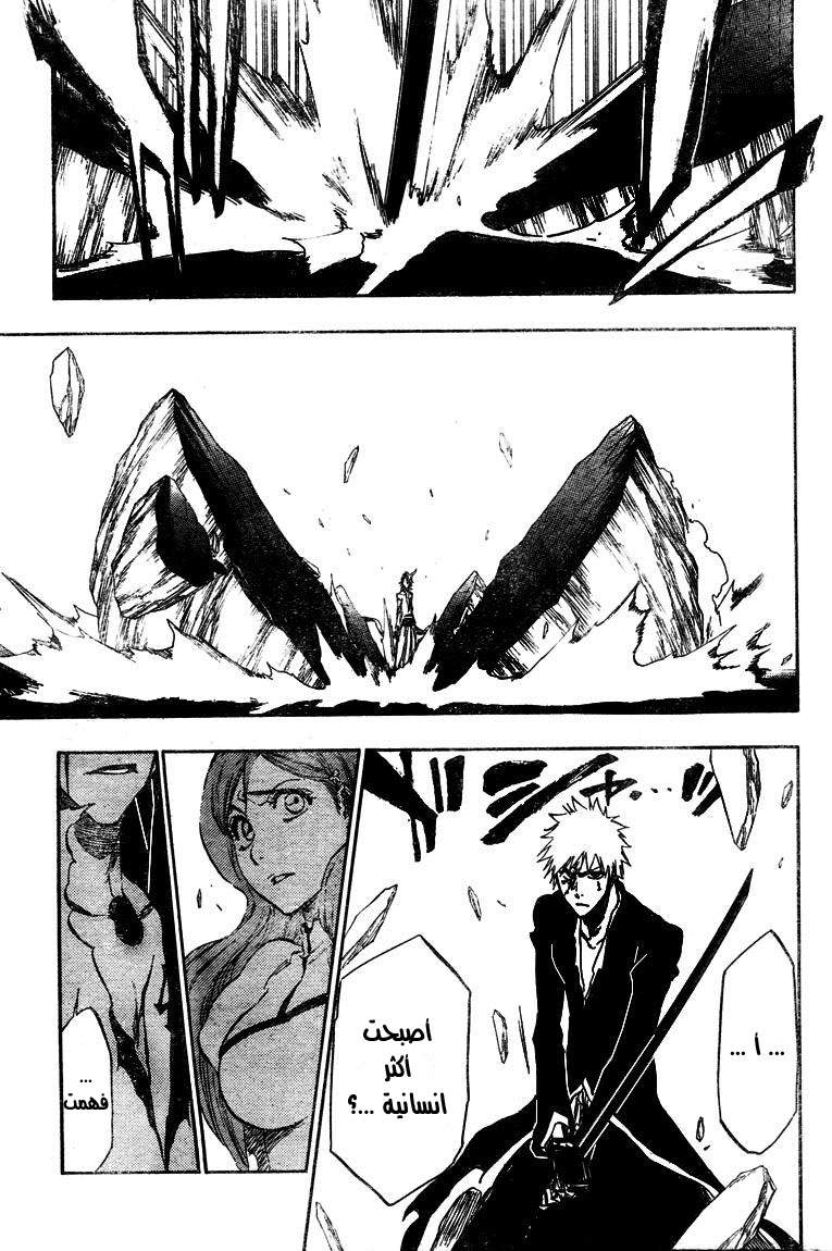 Bleach: Chapter 341 - Page 14