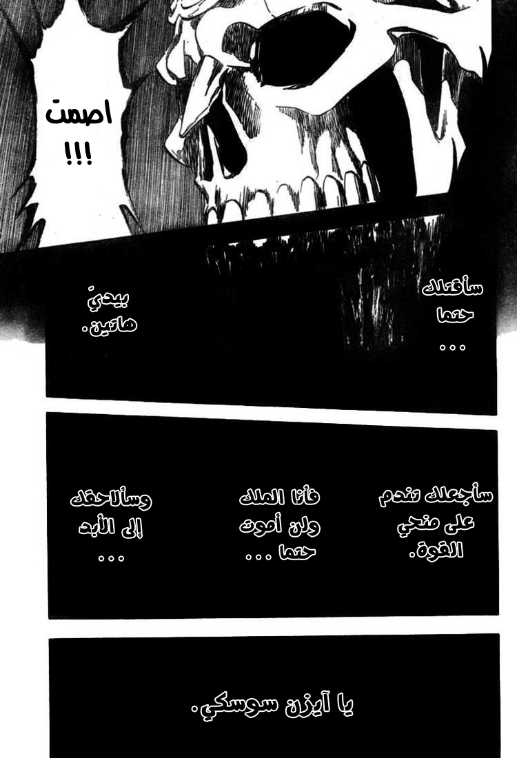 Bleach: Chapter 371 - Page 14