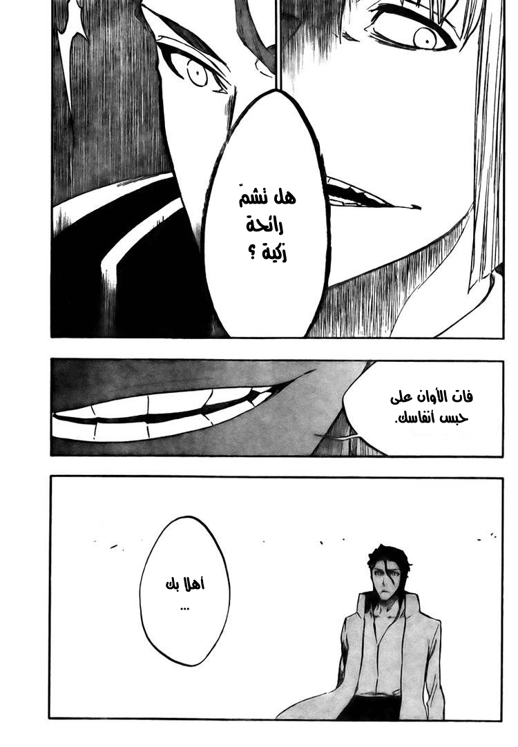 Bleach: Chapter 387 - Page 5