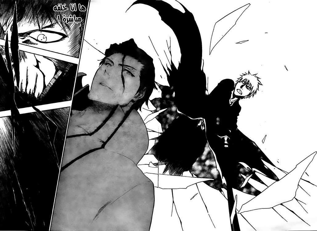 Bleach: Chapter 388 - Page 3