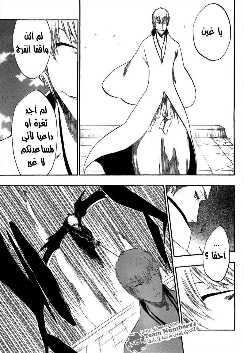 Bleach: Chapter 398 - Page 14