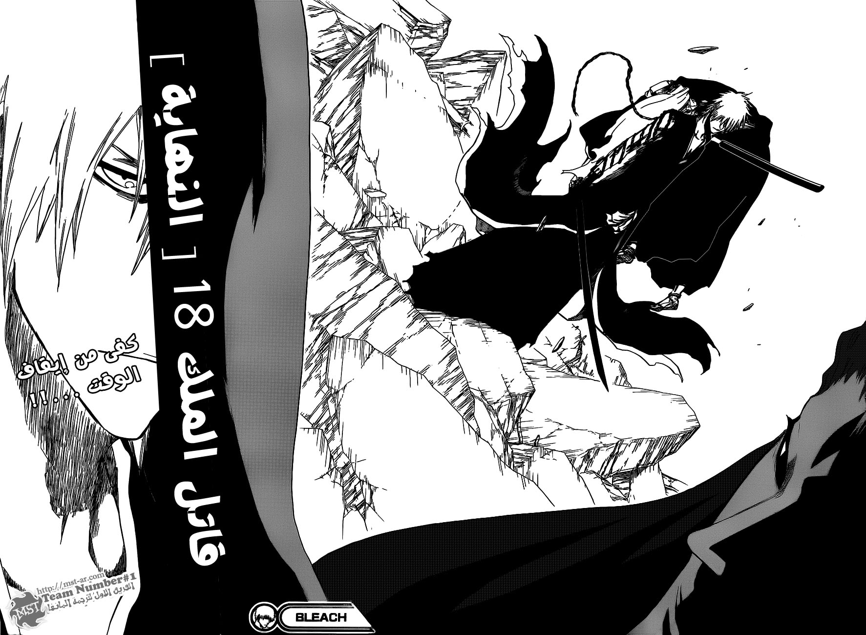 Bleach: Chapter 416 - Page 16