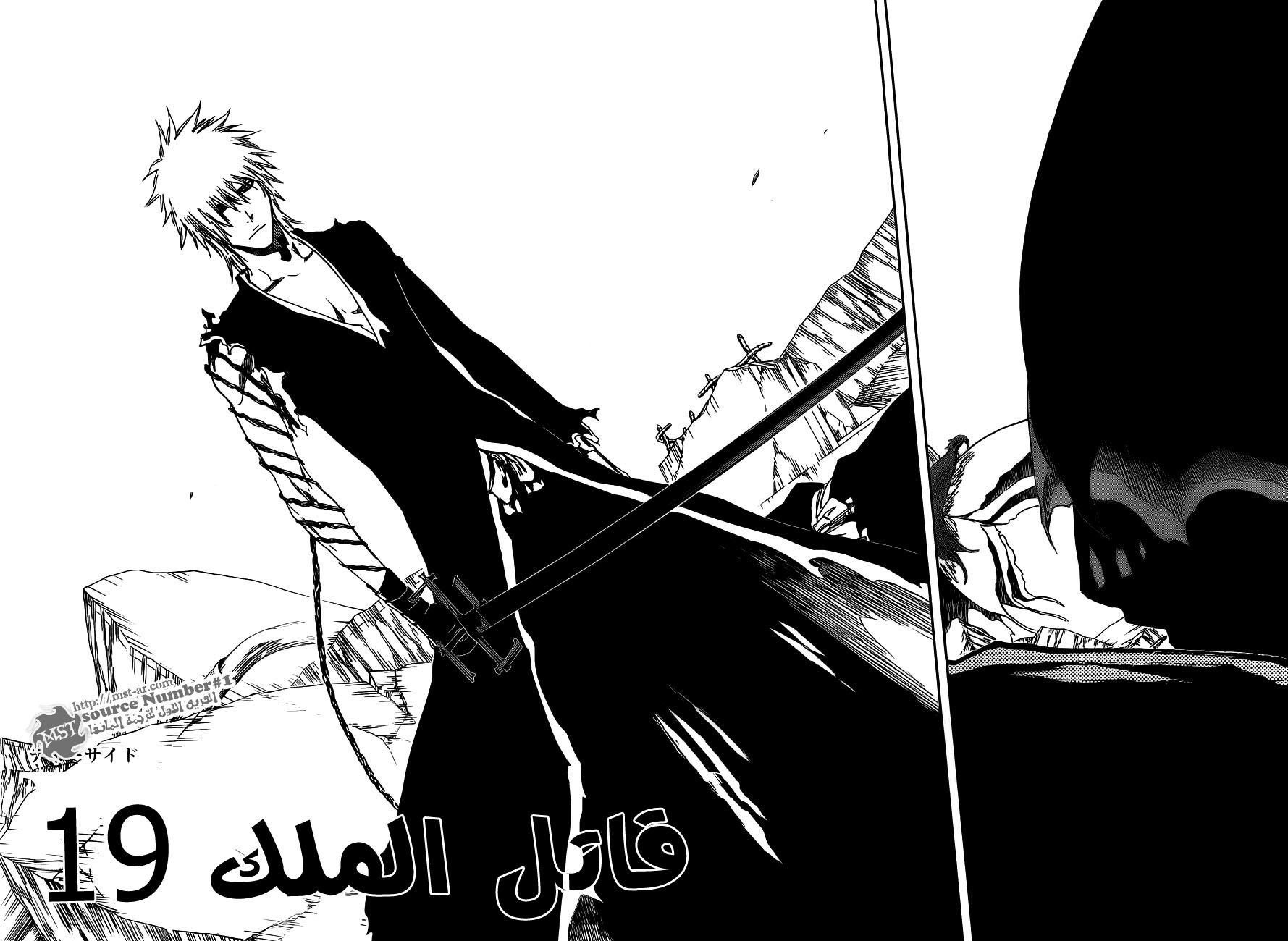 Bleach: Chapter 417 - Page 2