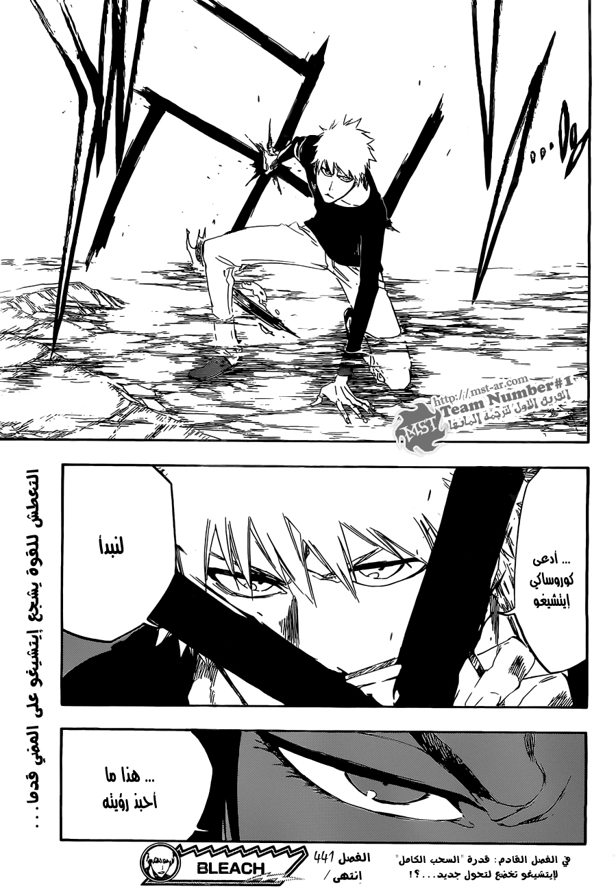 Bleach: Chapter 441 - Page 19