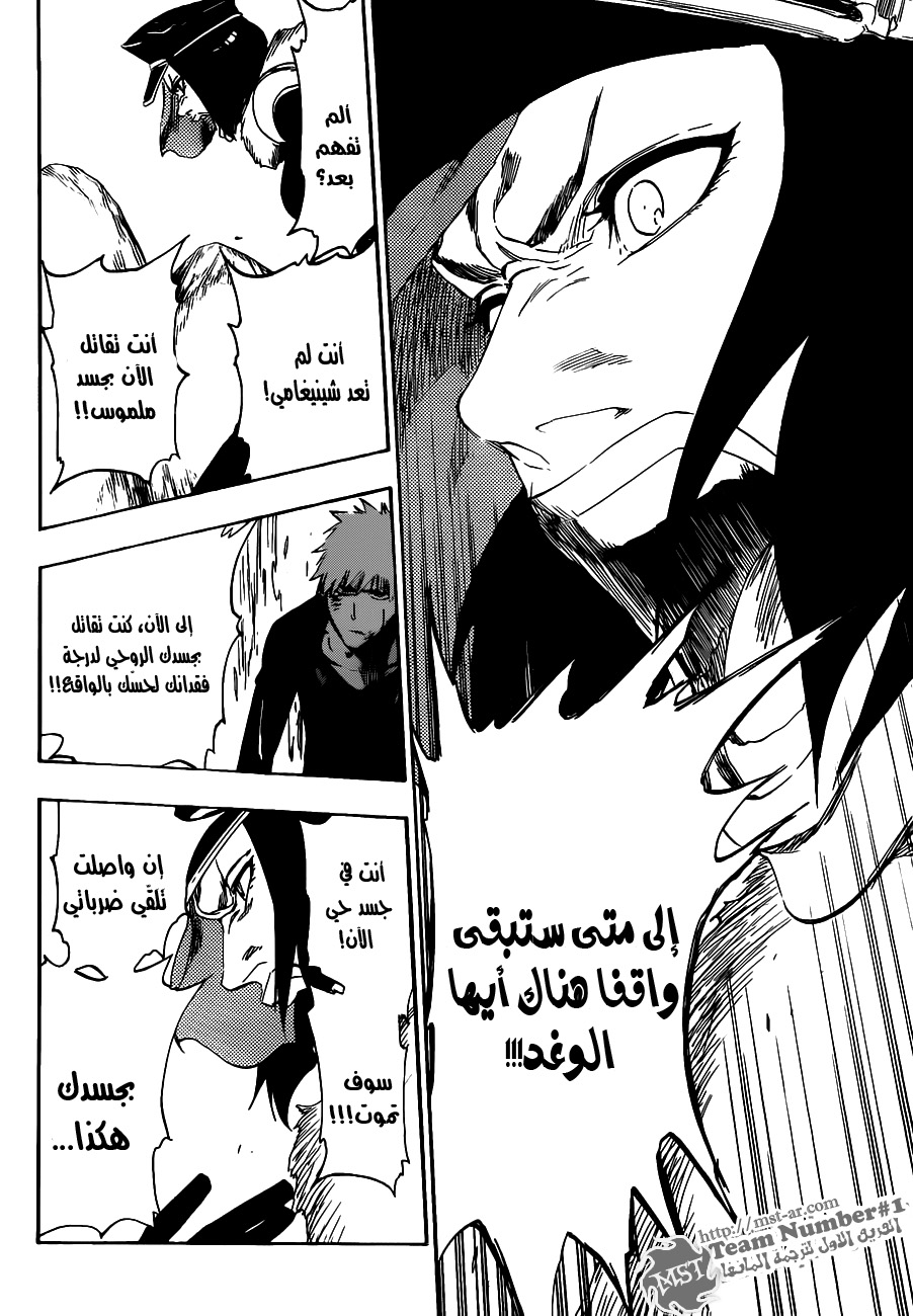 Bleach: Chapter 443 - Page 13