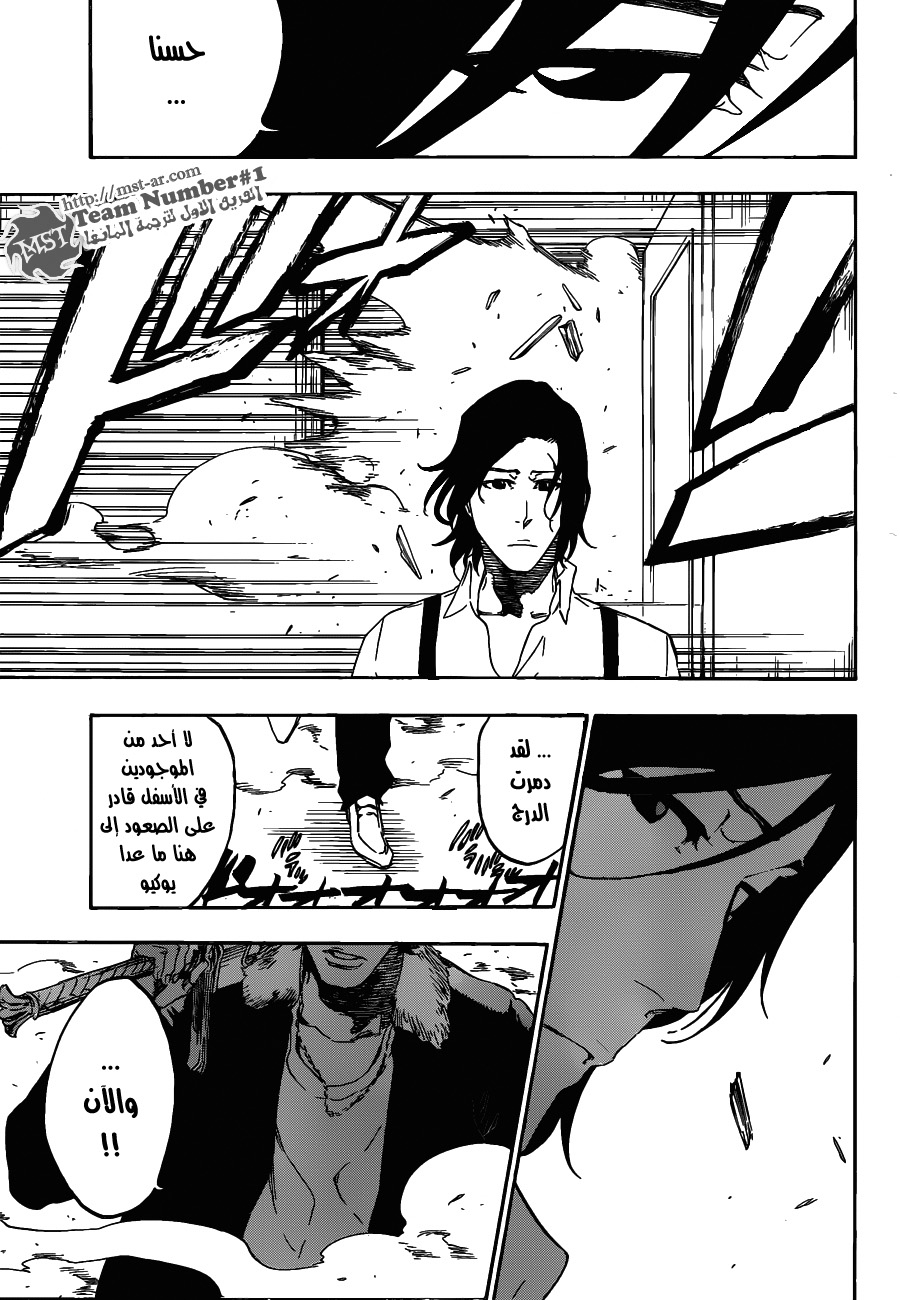 Bleach: Chapter 455 - Page 14