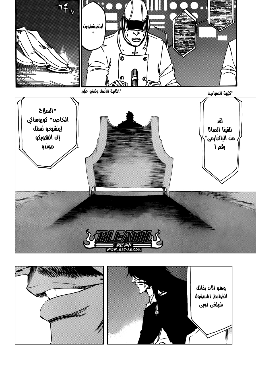 Bleach: Chapter 489 - Page 13