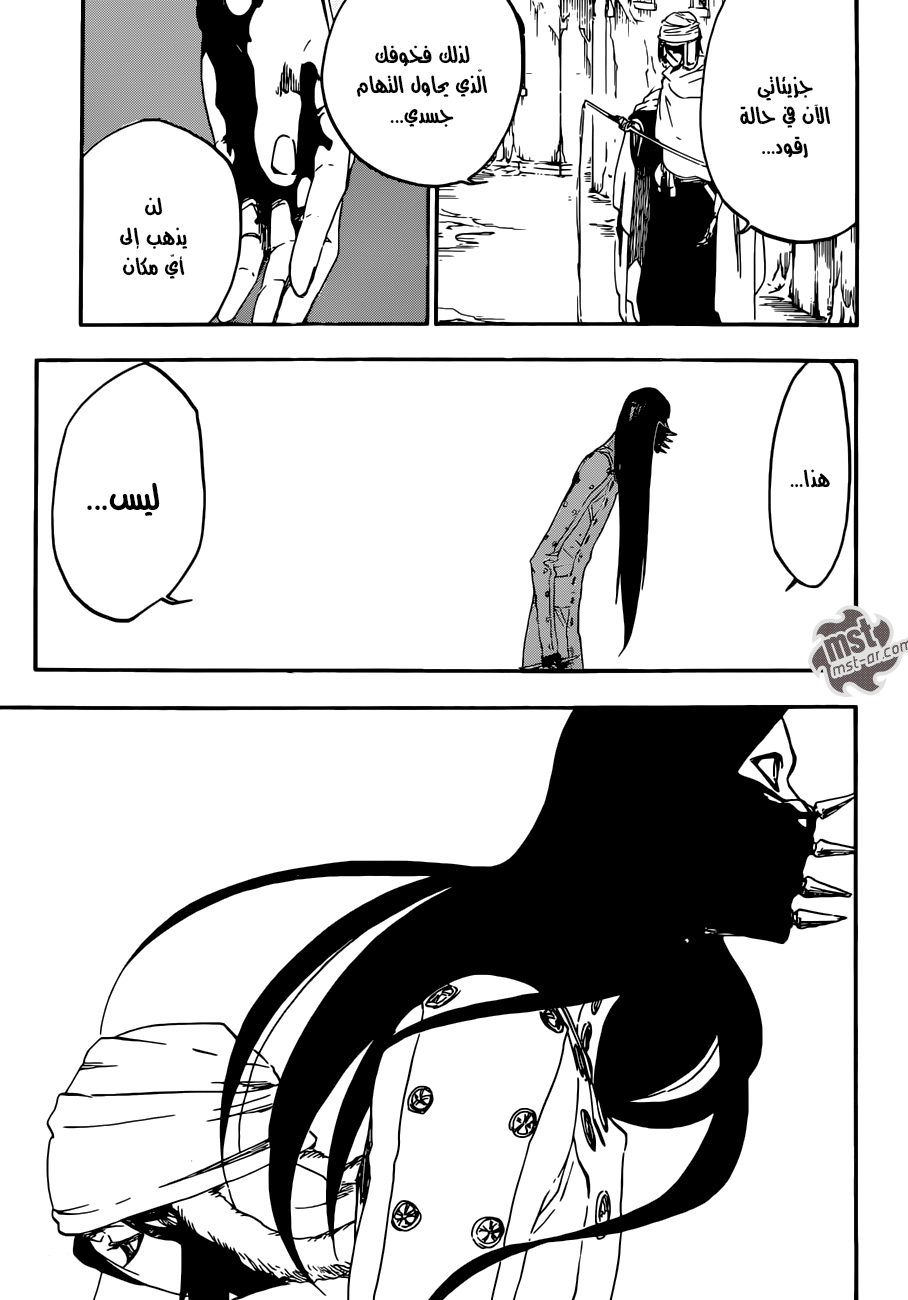 Bleach: Chapter 567 - Page 14