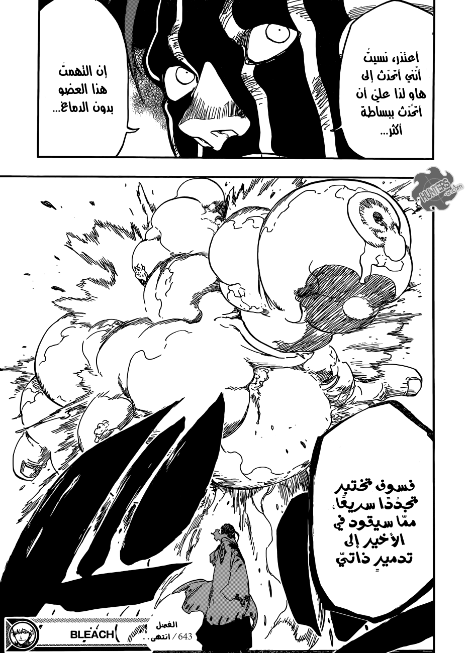 Bleach: Chapter 643 - Page 17