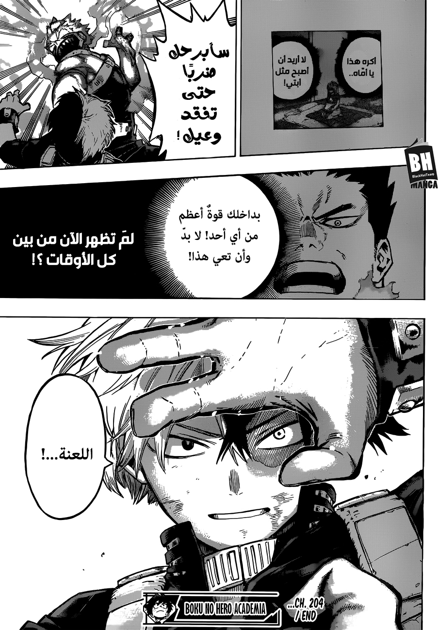 Boku no Hero Academia: Chapter 204 - Page 15