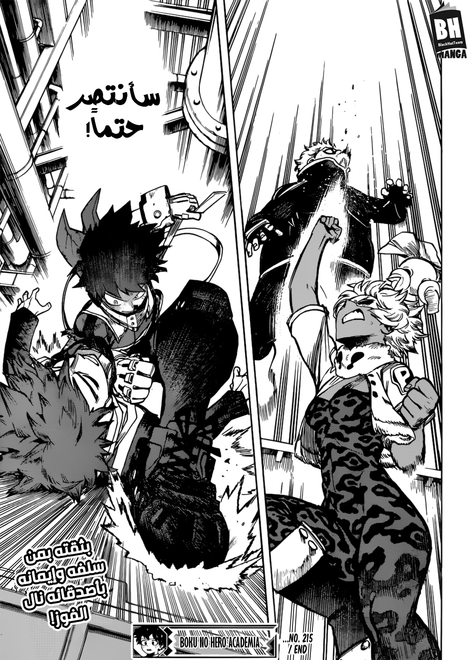 Boku no Hero Academia: Chapter 215 - Page 14