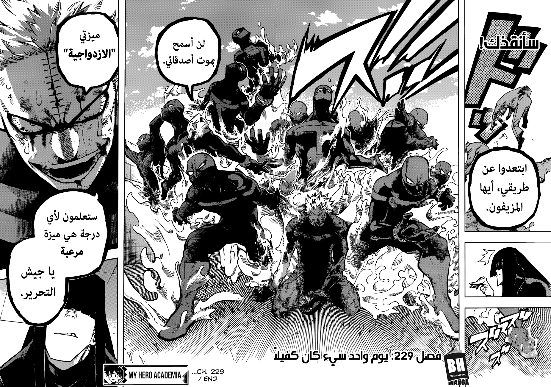 Boku no Hero Academia: Chapter 229 - Page 17