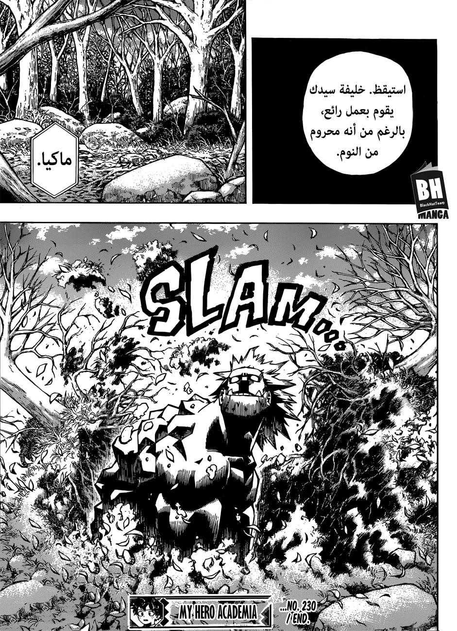 Boku no Hero Academia: Chapter 230 - Page 14