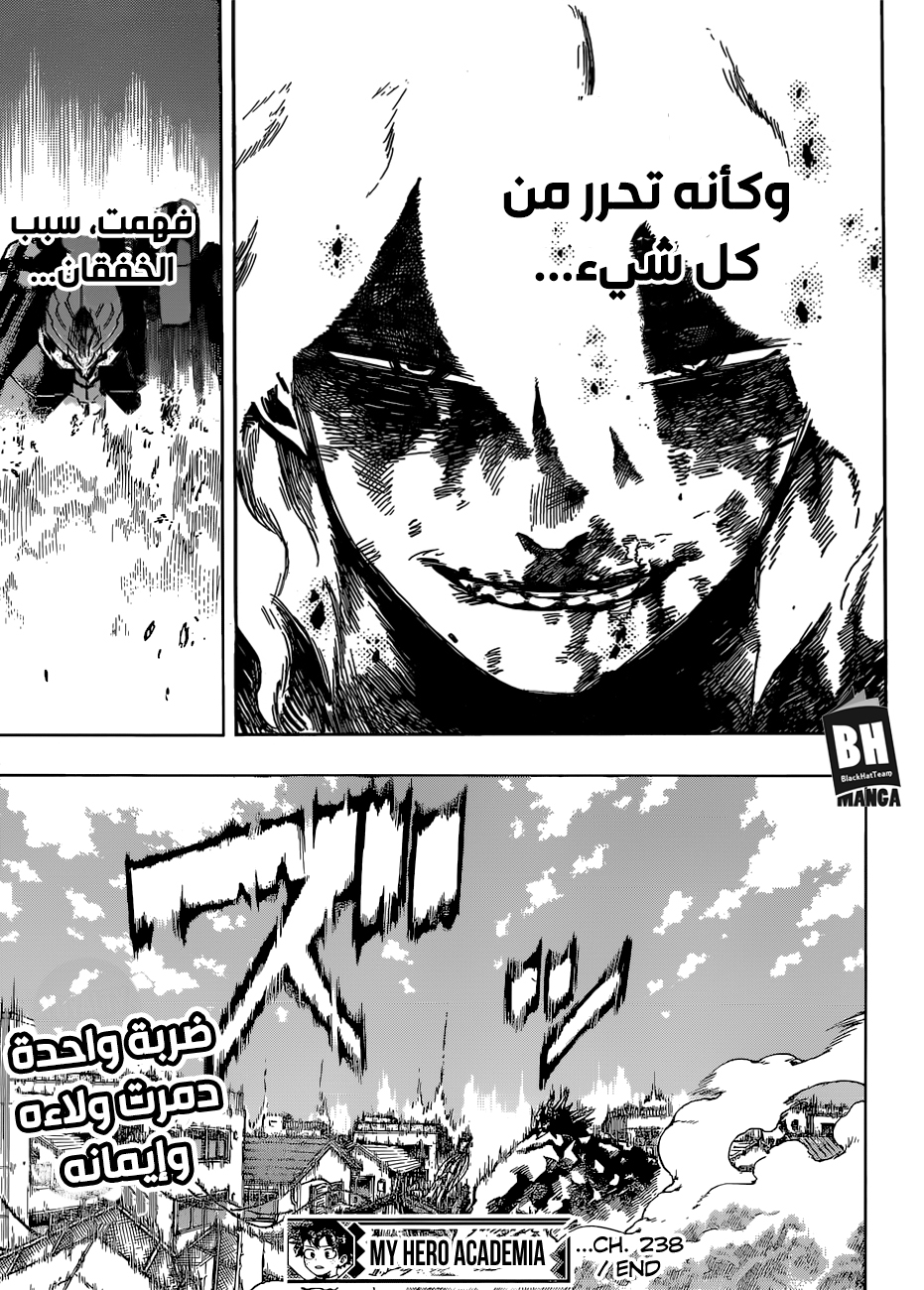 Boku no Hero Academia: Chapter 238 - Page 13