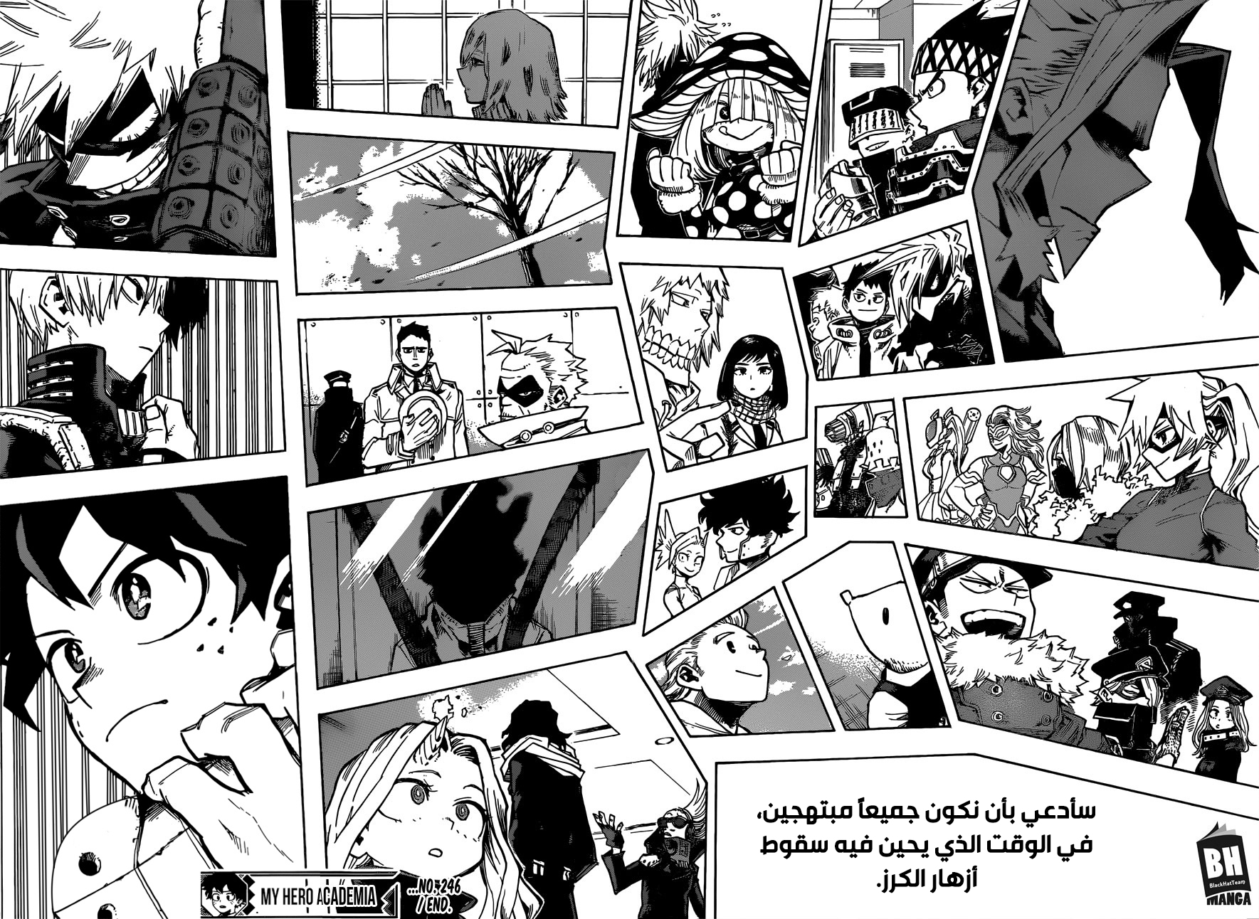 Boku no Hero Academia: Chapter 246 - Page 16