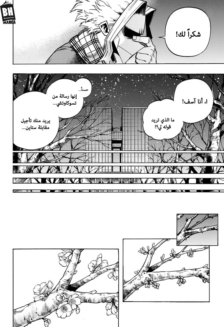 Boku no Hero Academia: Chapter 257 - Page 17