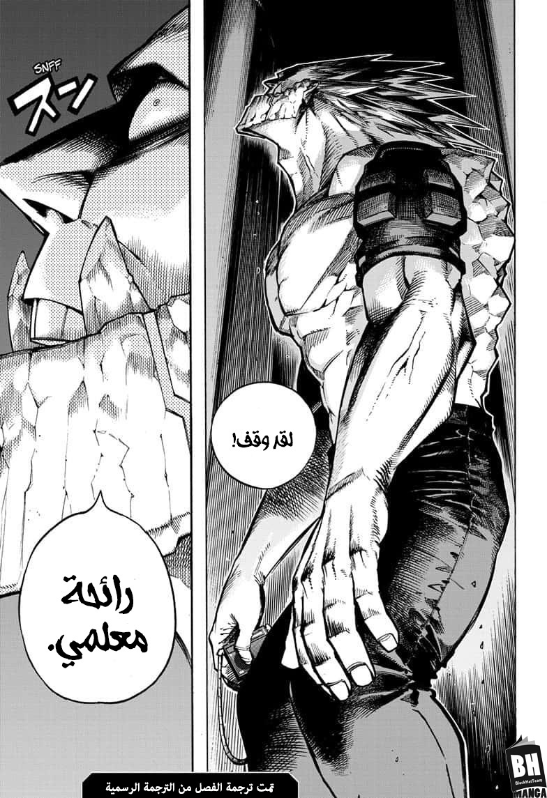 Boku no Hero Academia: Chapter 271 - Page 18