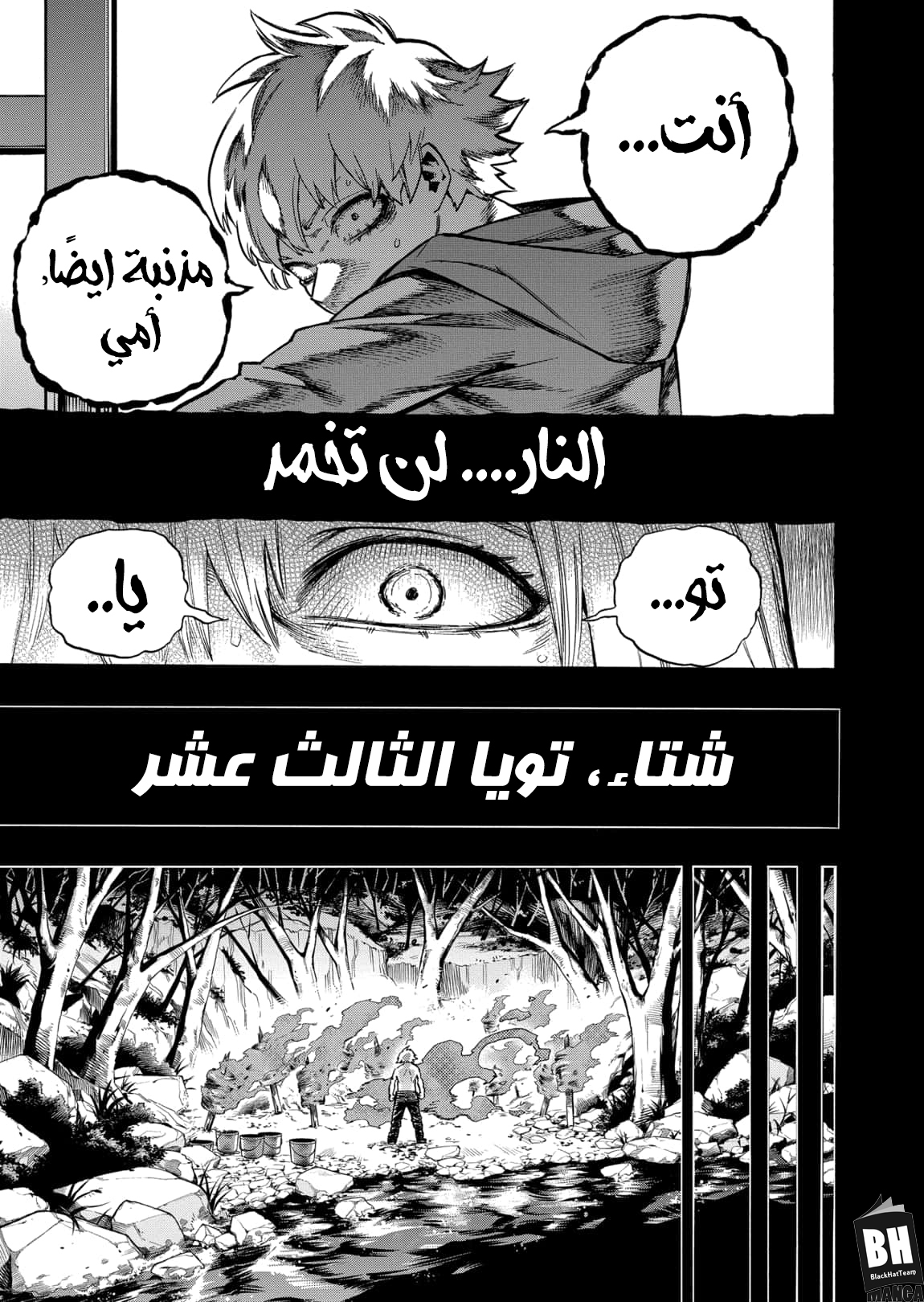 Boku no Hero Academia: Chapter 302 - Page 8