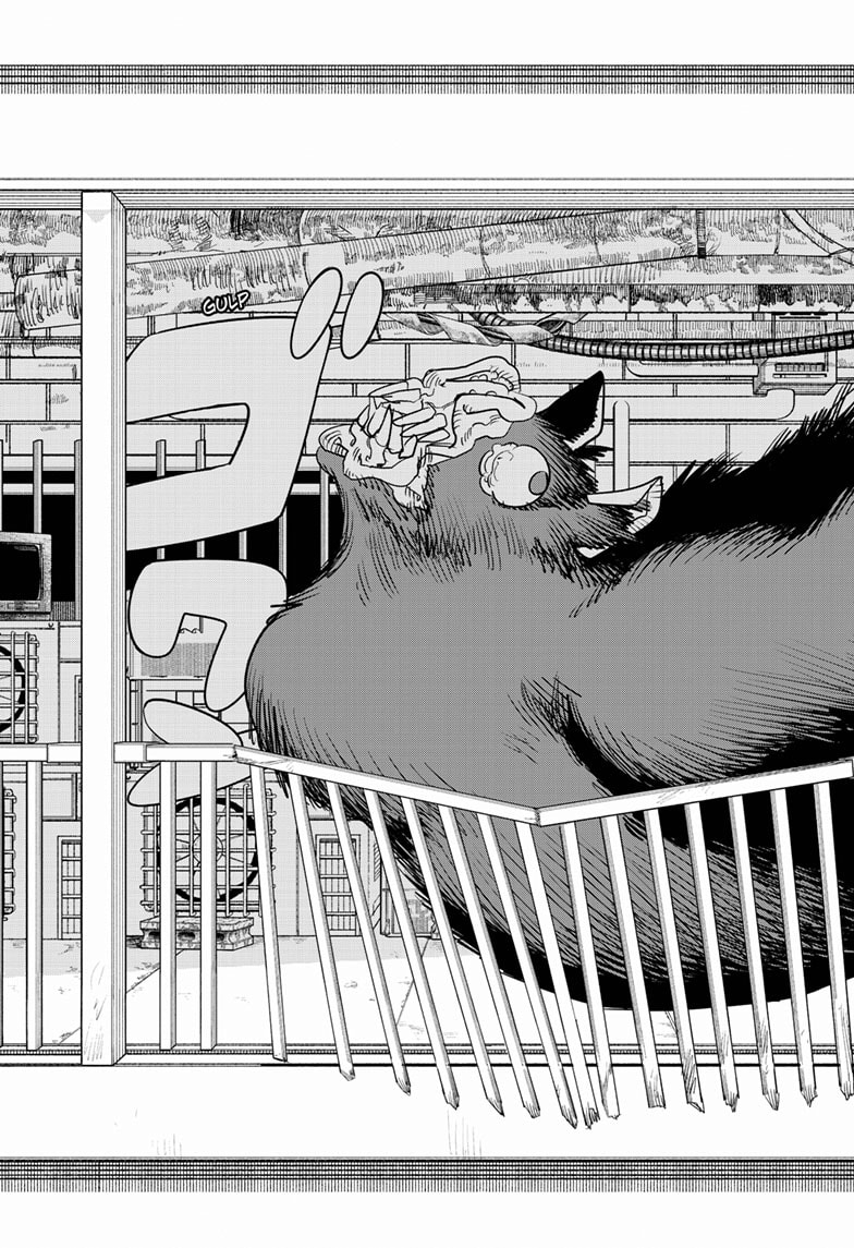 Chainsaw Man: Chapter 102 - Page 29