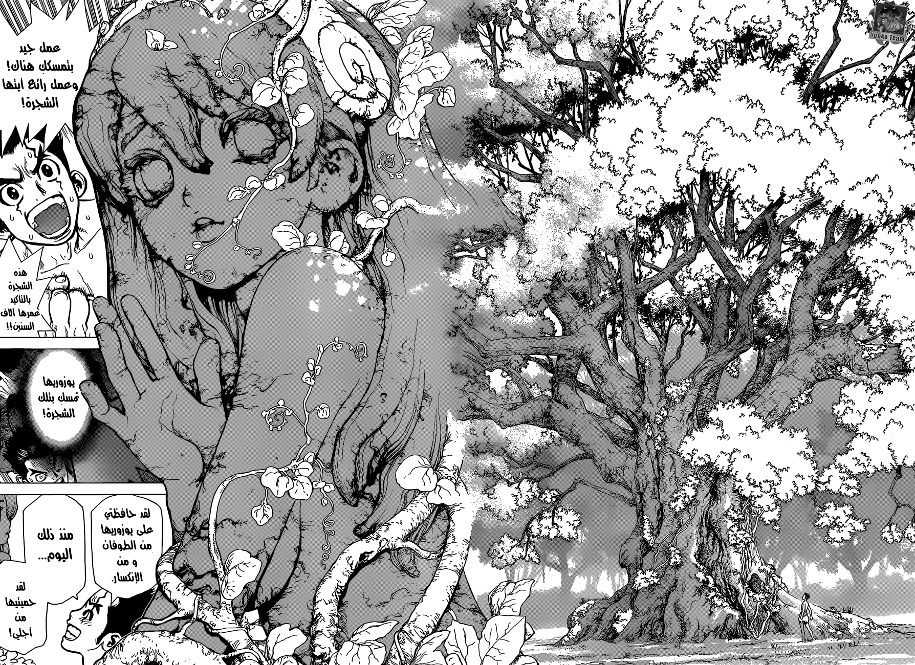 Dr. Stone: Chapter 1 - Page 35