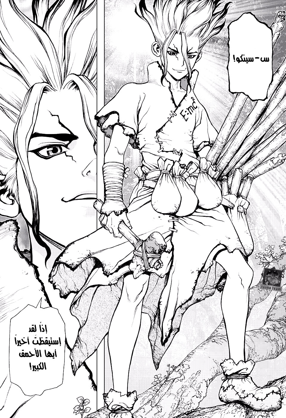 Dr. Stone: Chapter 1 - Page 40