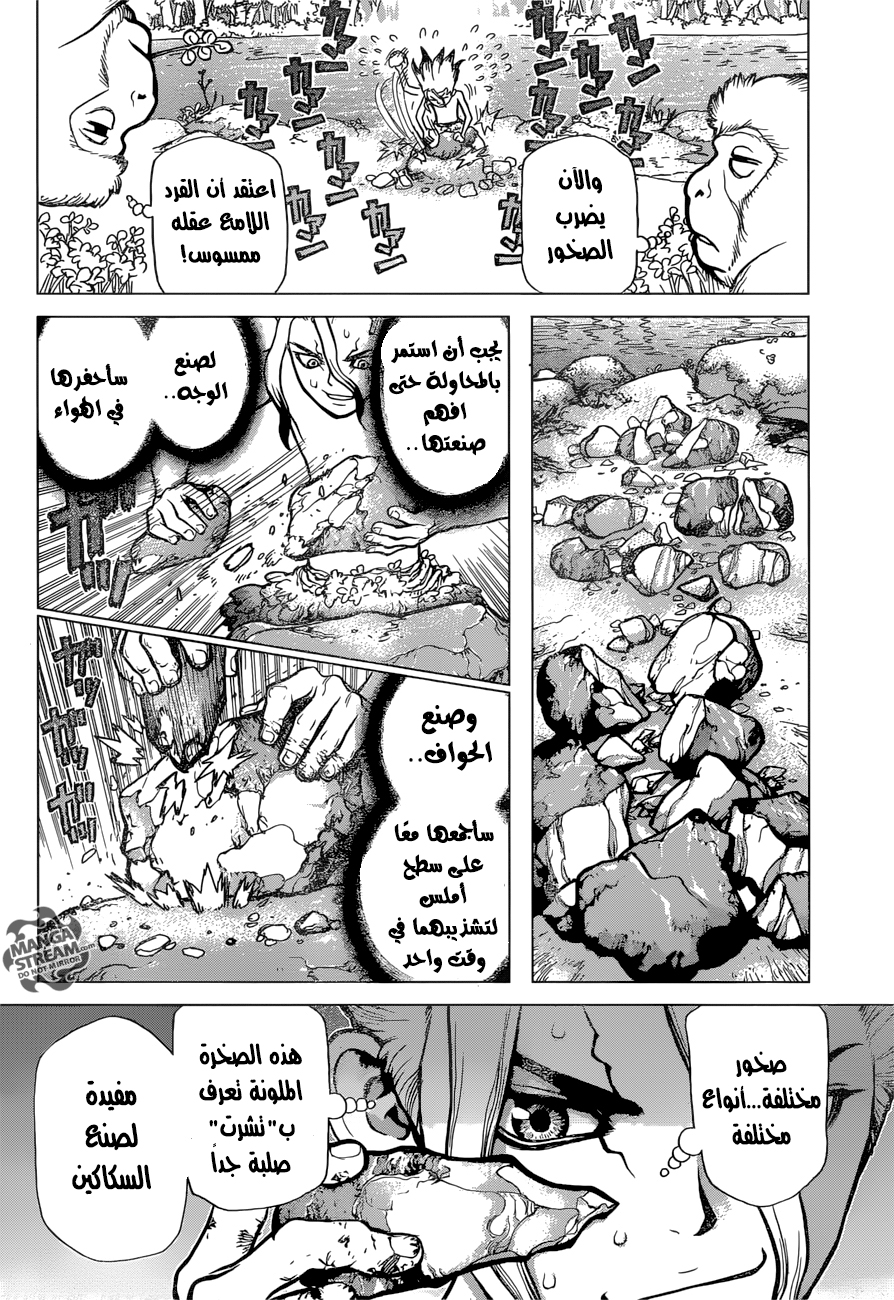 Dr. Stone: Chapter 13 - Page 12