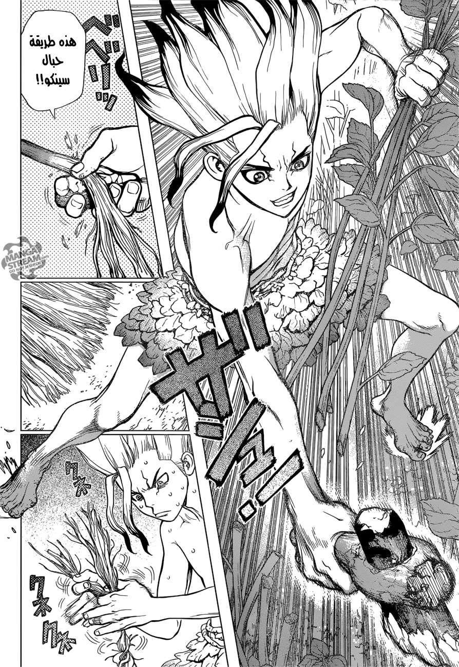 Dr. Stone: Chapter 13 - Page 14