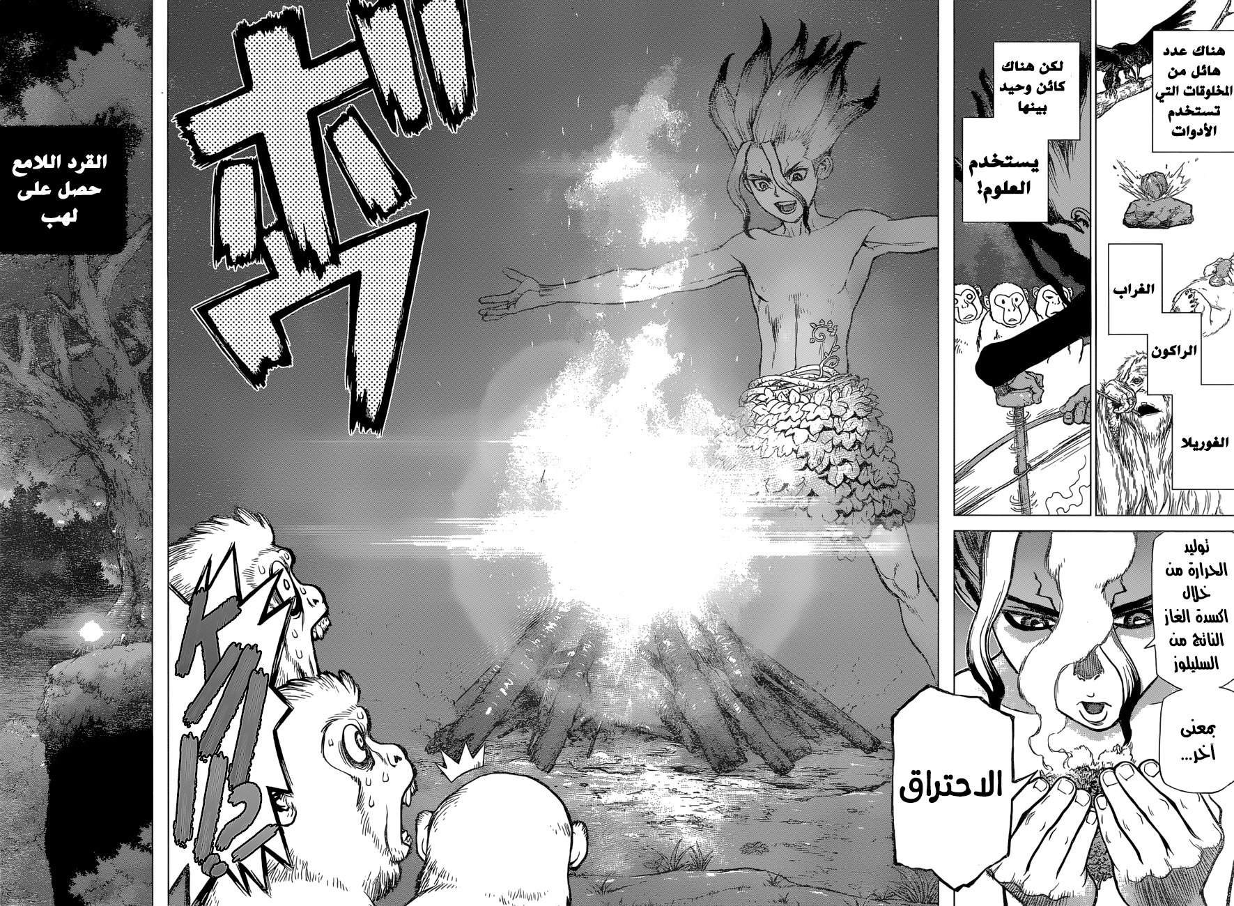 Dr. Stone: Chapter 13 - Page 16