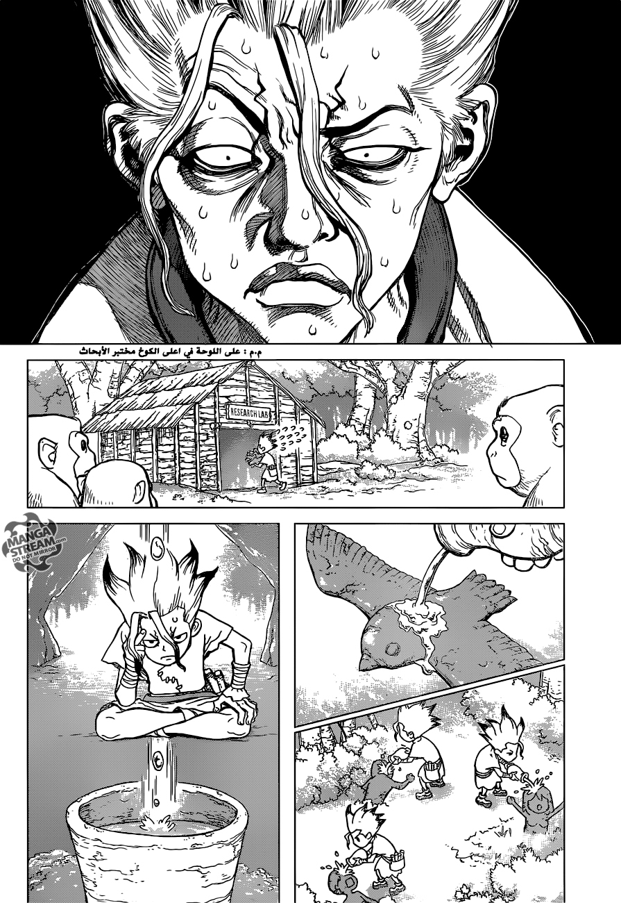Dr. Stone: Chapter 14 - Page 12