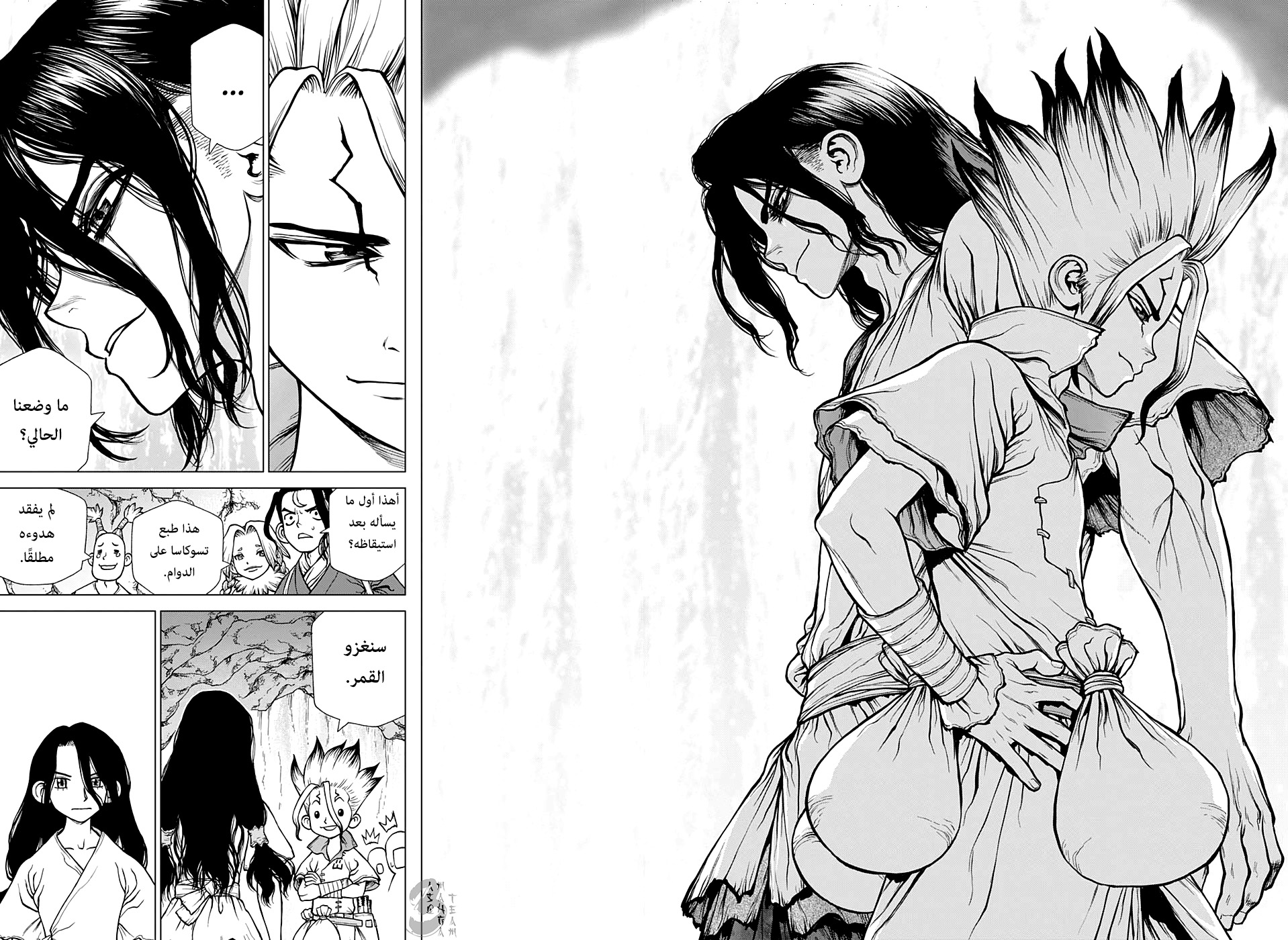 Dr. Stone: Chapter 141 - Page 13