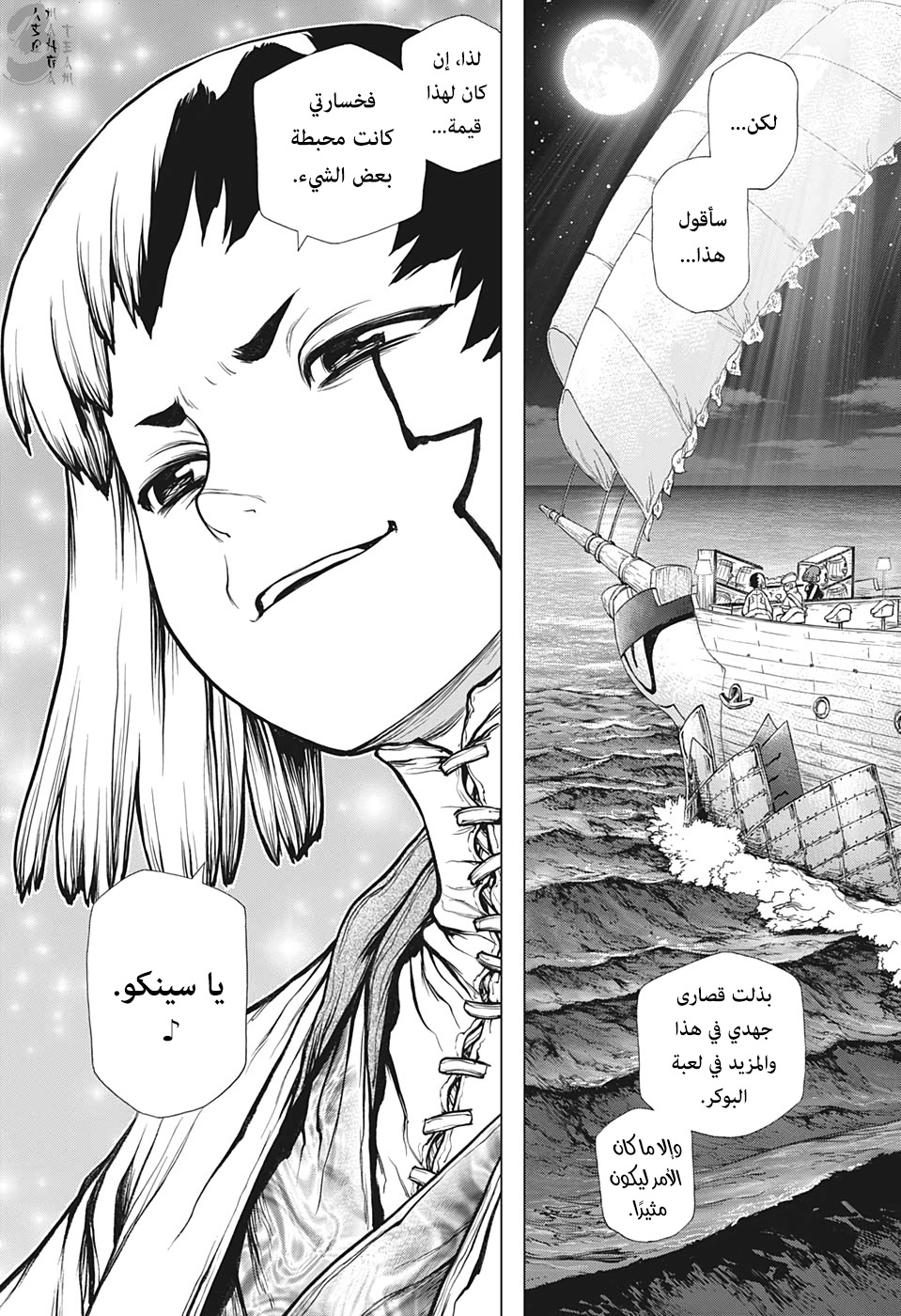 Dr. Stone: Chapter 145 - Page 17