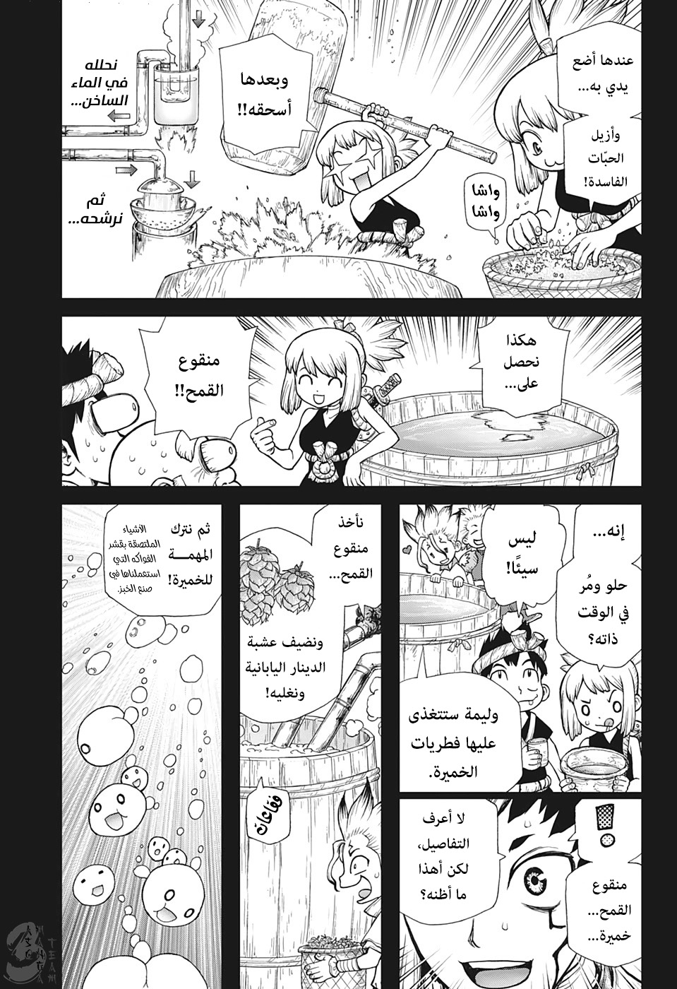Dr. Stone: Chapter 146 - Page 4