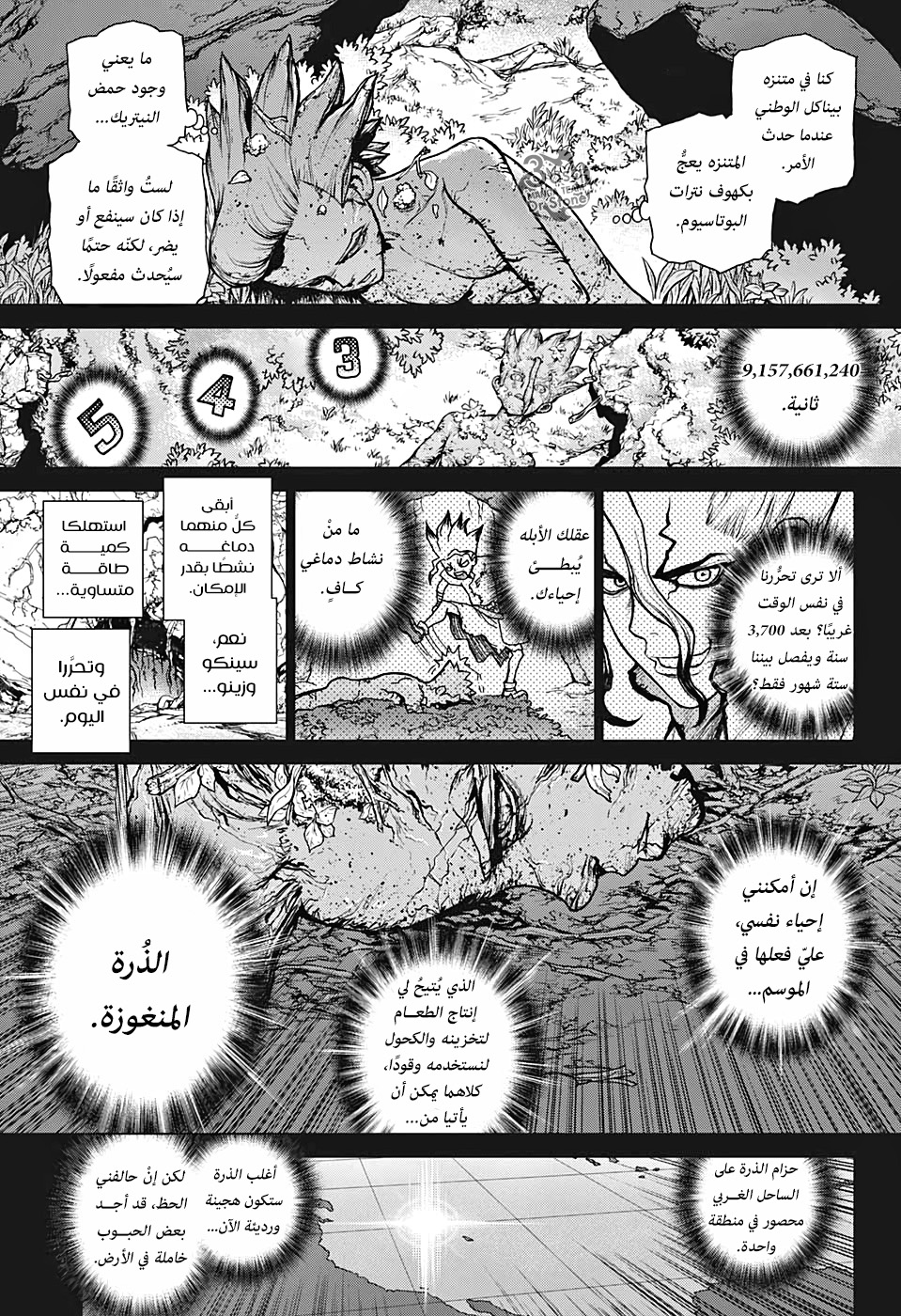 Dr. Stone: Chapter 157 - Page 15