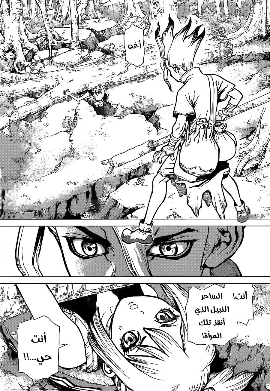 Dr. Stone: Chapter 16 - Page 12