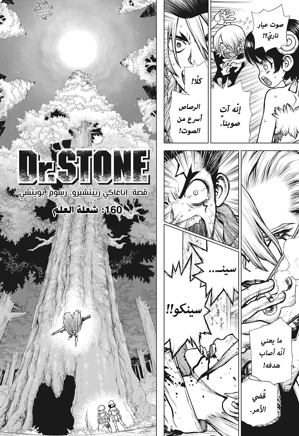 Dr. Stone: Chapter 160 - Page 3