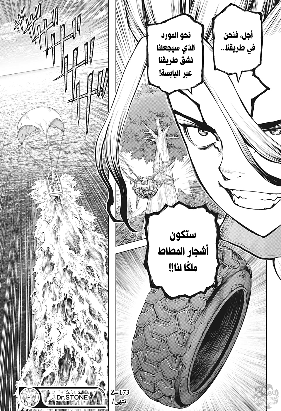 Dr. Stone: Chapter 173 - Page 19