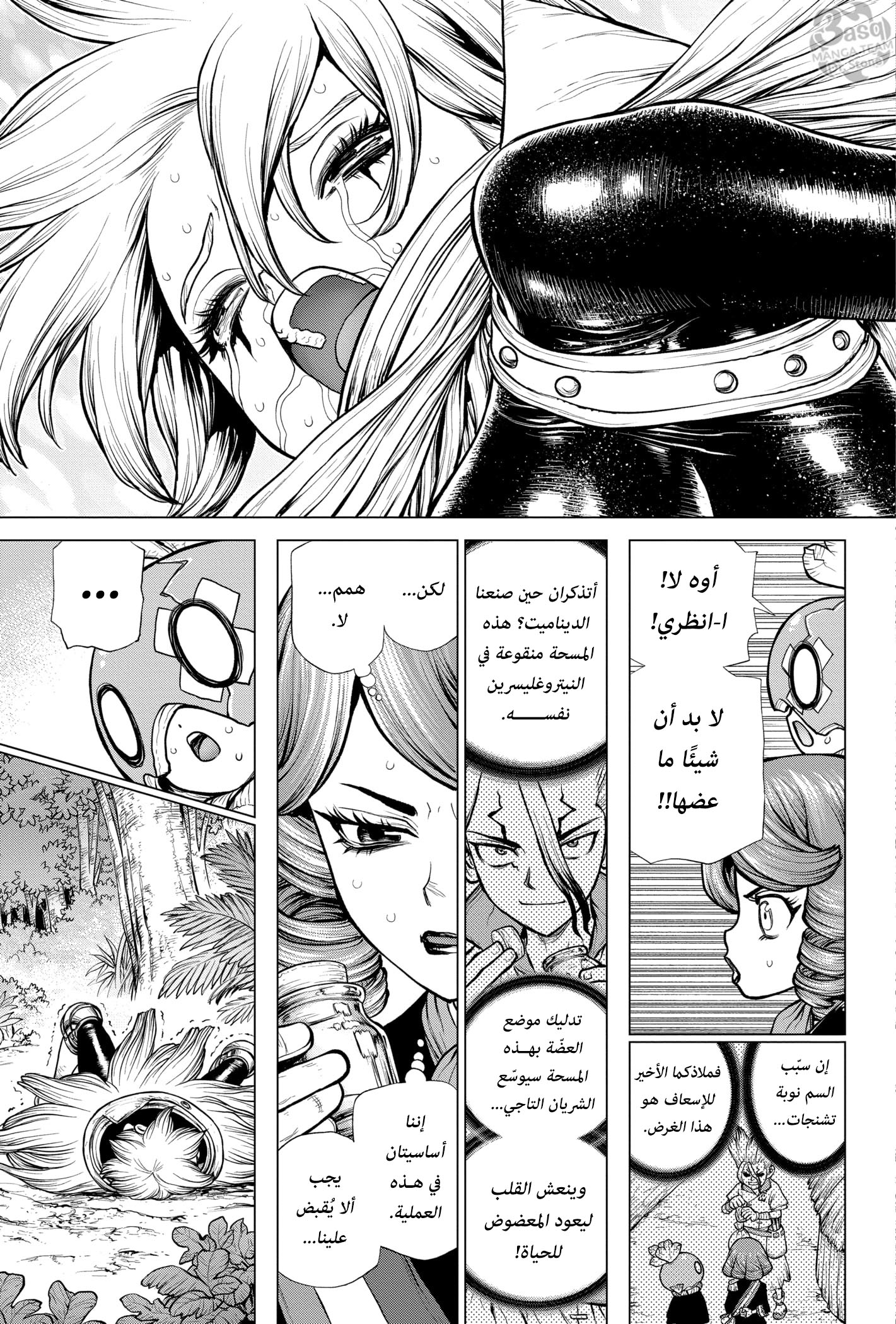 Dr. Stone: Chapter 185 - Page 15