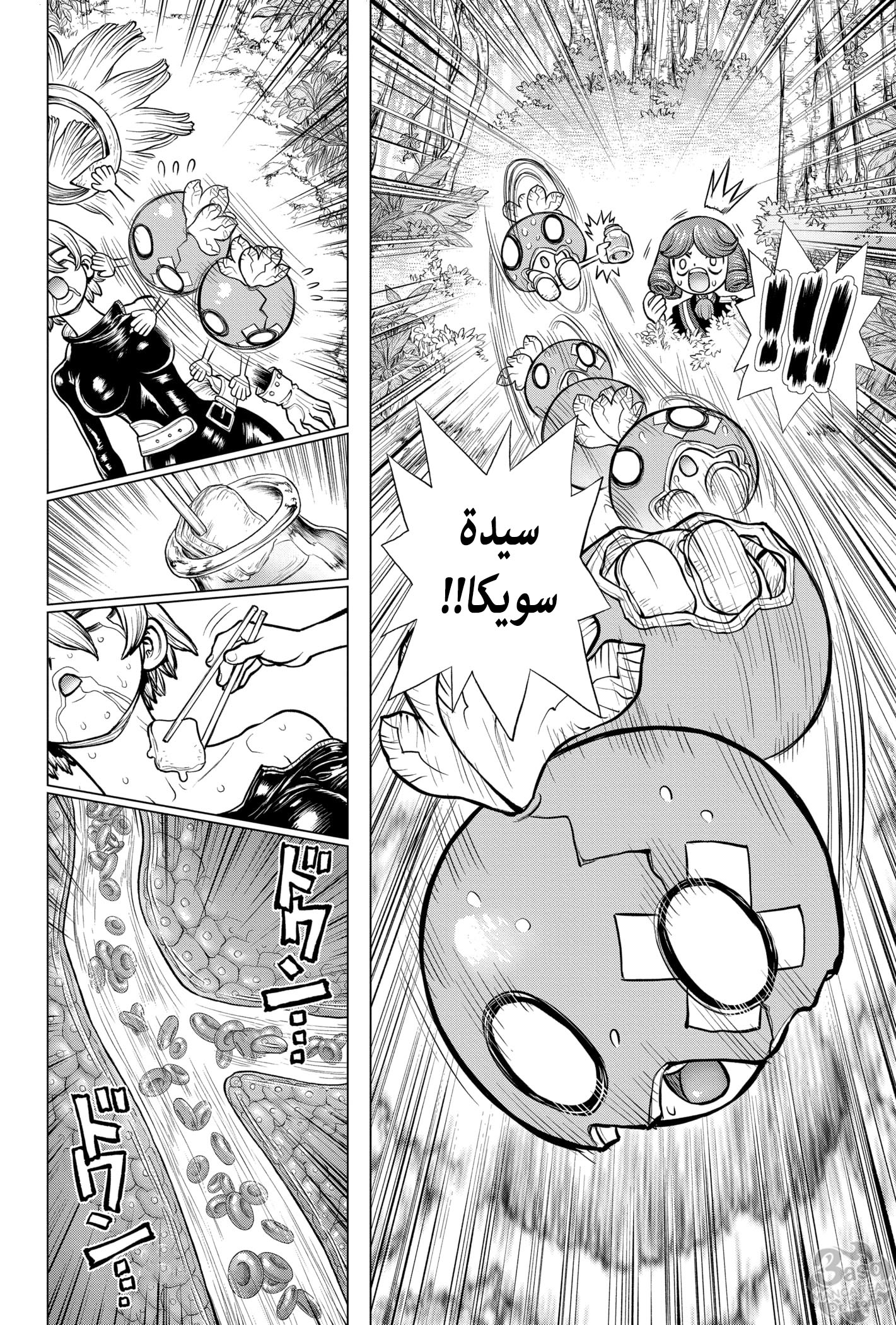Dr. Stone: Chapter 185 - Page 16