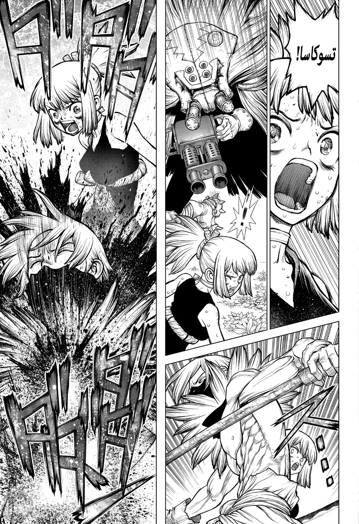 Dr. Stone: Chapter 188 - Page 11