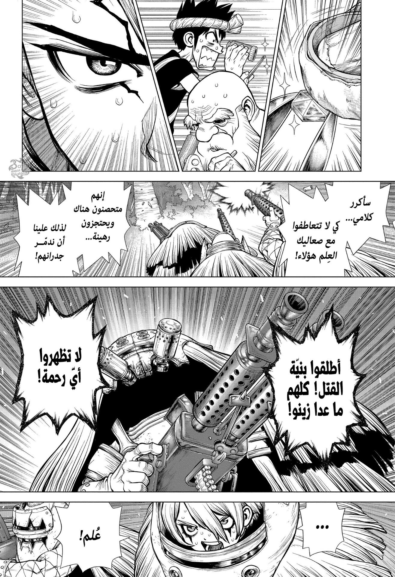 Dr. Stone: Chapter 189 - Page 13