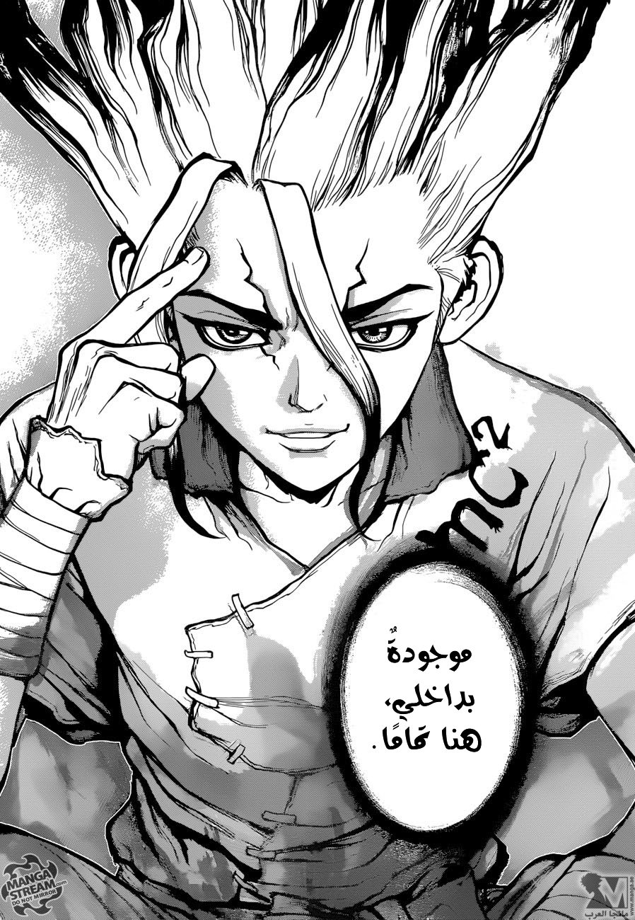 Dr. Stone: Chapter 19 - Page 17